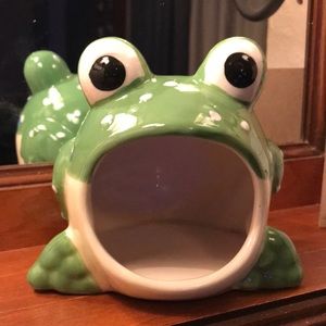 Kitchen sponge frog ceramic